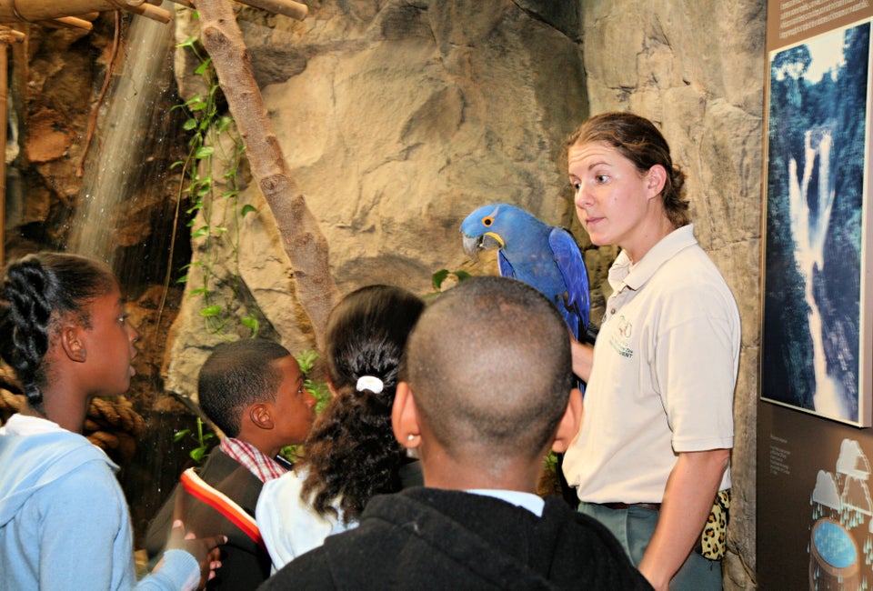 Celebrate World Wildlife Day at Franklin Park Zoo. Photo courtesy of Zoo New England