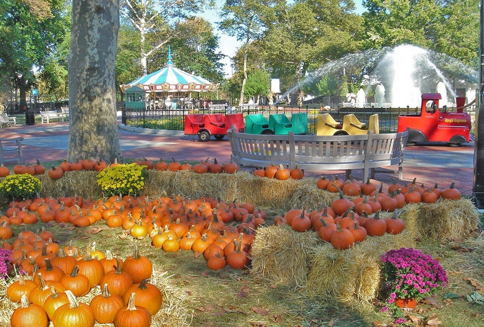 Photo of Franklin Square Pumpkin Patch by G. Widman