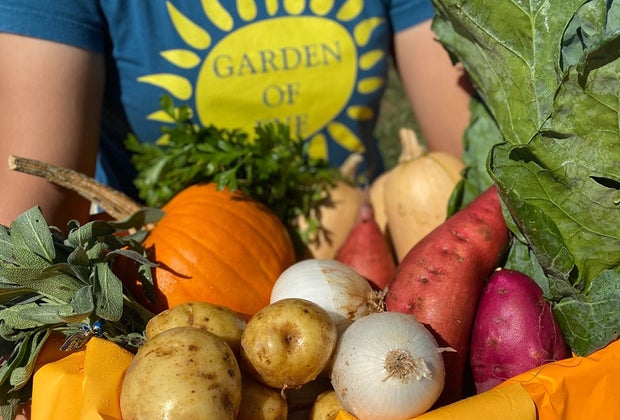 armful of vegetables