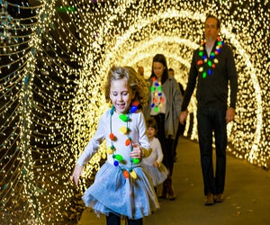Celebrate the beauty of nature in winter at Garden Lights, Holiday Nights at Atlanta Botanical Garden. Photo courtesy of the ABG