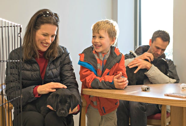 Volunteering with the Guide Dog Foundation might lead to making some furry friends