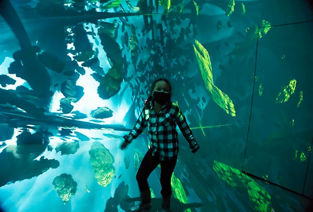 girl in Geometric Properties