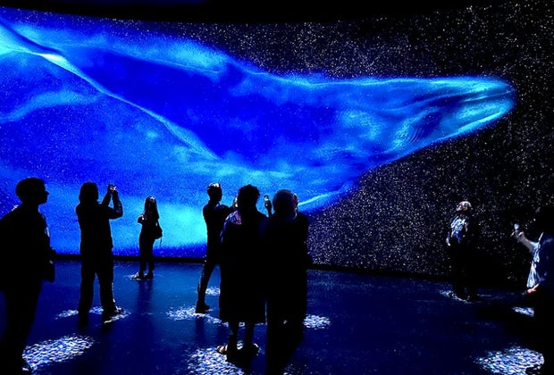 AMNH with kids: Gilder Center's invisible worlds