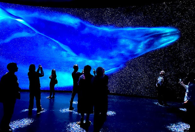 Gilder Center at AMNH: Invisible Worlds exhibition