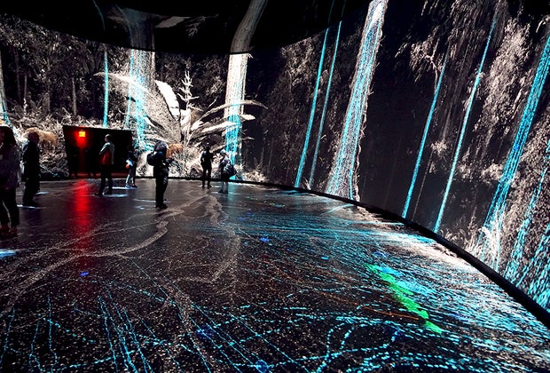 Things To Do on a Rainy Day Indoors in NYC: AMNH Gilder Center