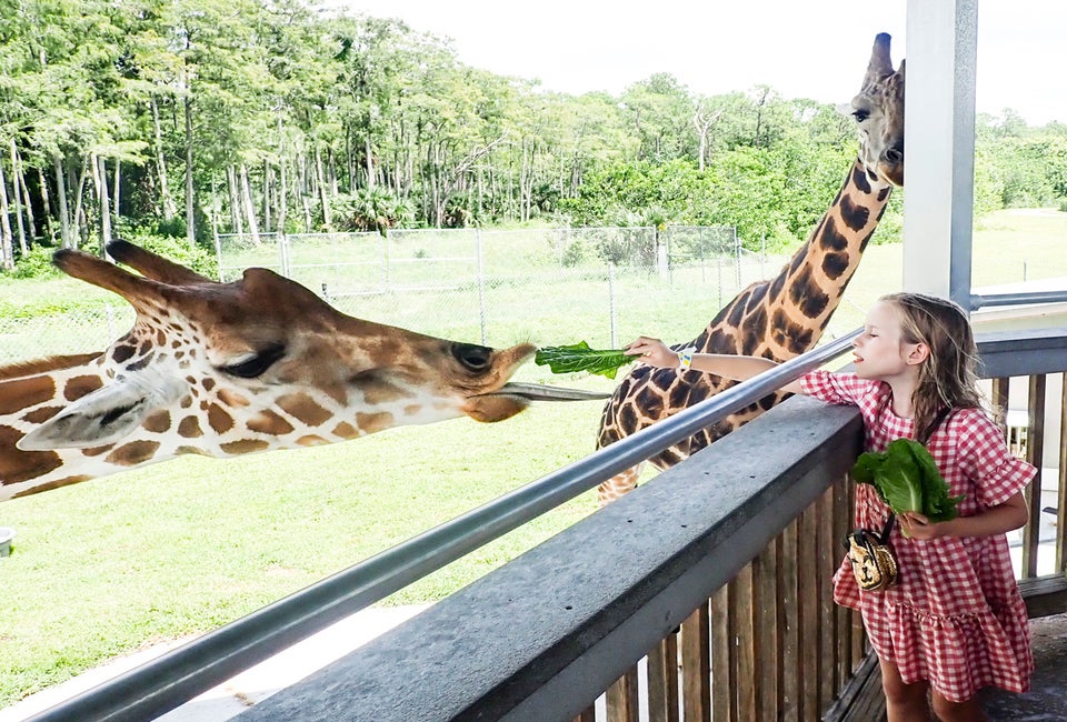 There are more than just lions at Lion Country Safari.