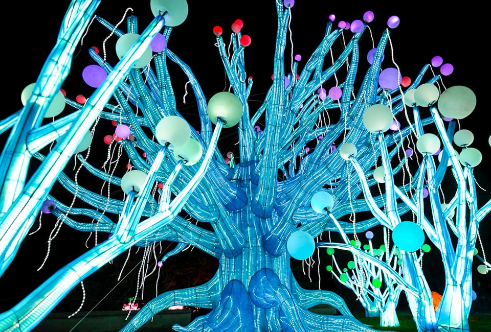 Best Holiday Lights Drive-Thrus and Christmas Light Shows in San Francisco Glowfari is an otherworldly and amazing experience. Photo courtesy of the Oakland County Zoo