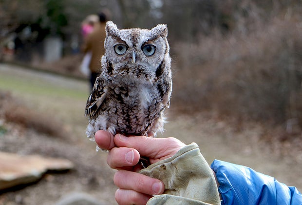 100 Things To Do in Westchester and the Hudson Valley Before Kids Grow Up: Greenburgh Nature Center.: