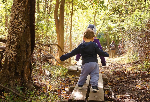 100 things to do in NYC with kids: Staten Island Greenbelt
