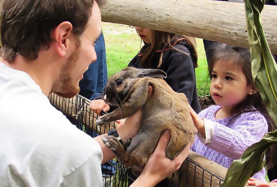 Touch the soft rabbits at the Greenburgh Nature Center's petting zoo in Scarsdale. Photo courtesy of the center