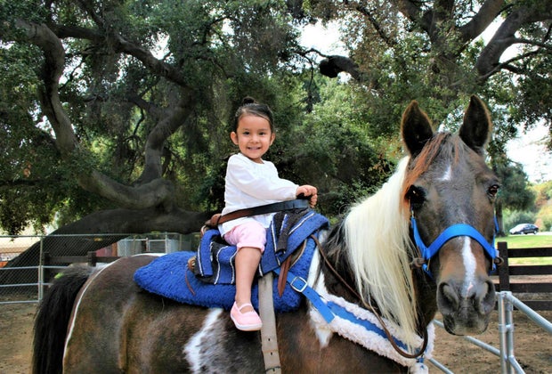 Find an Amazing Petting Zoo near Los Angeles: Griffith Park Pony Rides