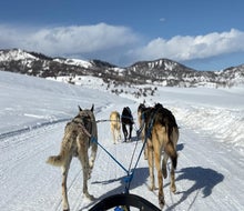 Join Grizzle-T for a 1/2 Day Adventure along a private trail where you learn how to 