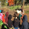 Grow It Green is an urban farm that teaches kids about healthy eating and caring for the environment. Photo courtesy of Grow It Green Morristown