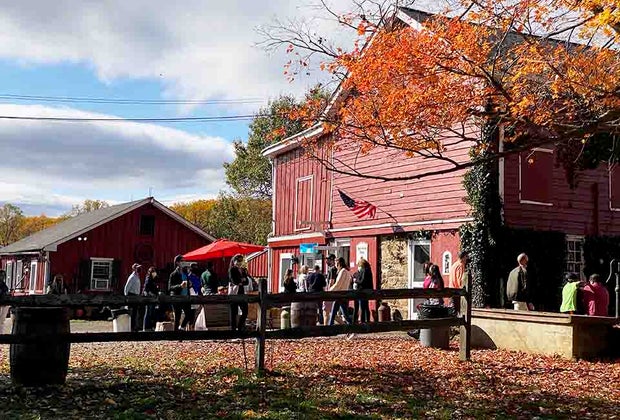 Guests gather at the Hacklebarney Farm Cider Mill