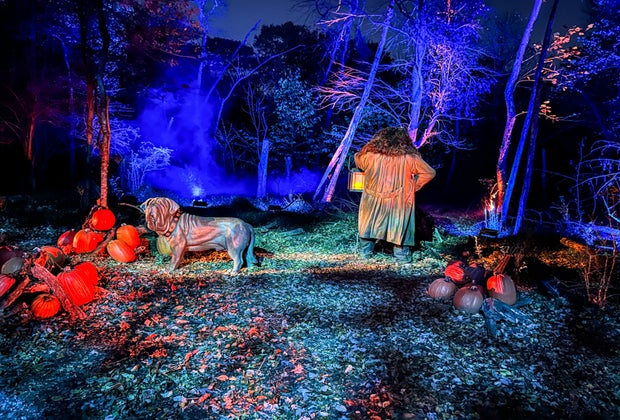 Harry Potter: A Forbidden Forest Experience: Hagrid