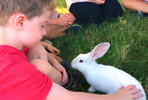 boy petting a bunny Hallockville Museum Farm
