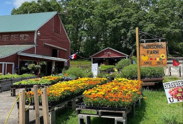 Image of Hanson's Farm - Hayrides near Boston