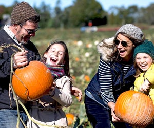 Head to Harbes Family Farm for a day of pumpkin picking and fall fun.