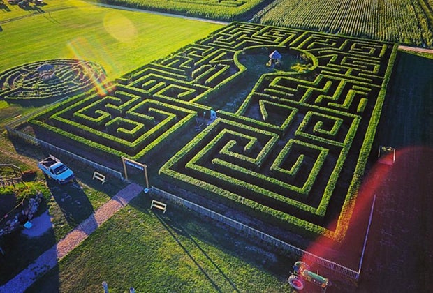 Corn mazes near NYC: Harbes Family Farm's