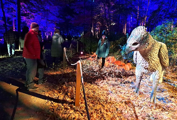 Harry Potter Forbidden Forest Experience Buckbeak the Hippogriff