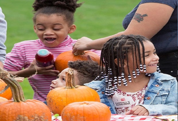 Harvest Festival