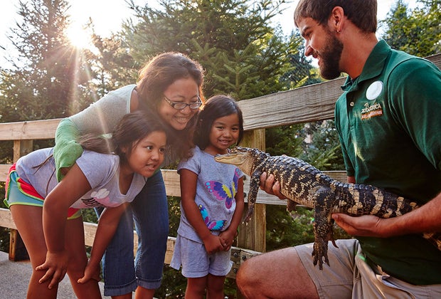ZooAmerica Visiting Hersheypark: Our Guide to the Sweetest Theme Park in Hershey, PA
