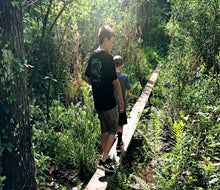 Challenge yourself on the walking beams at Hidden Waters Preserve.
