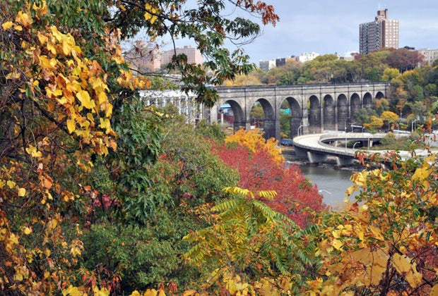 Fall foliage in Highbridge Park