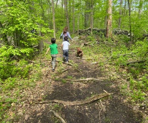 Let your kids loose to run free on the hiking trails right here in NYC. Photo by Sara M.