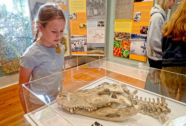 Hilton Head with Kids: Coastal Discovery Museum