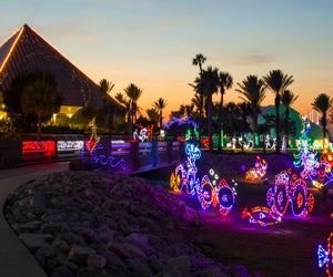 Galveston is great for more than just the beach. Check out the Christmas lights display at Moody Gardens. Photo courtesy of Holidays at Moody Gardens