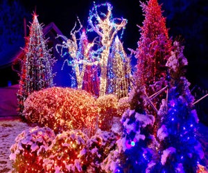 In every part of Connecticut, you can find holiday lights and family fun!
