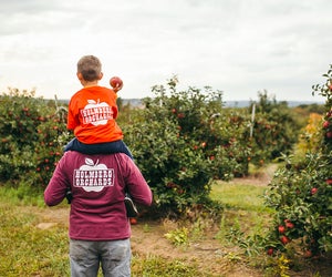 Enjoy the best of the Fall, with apple picking in Connecticut and fun apple festivals. Photo courtesy of Holmberg Orchards & Winery