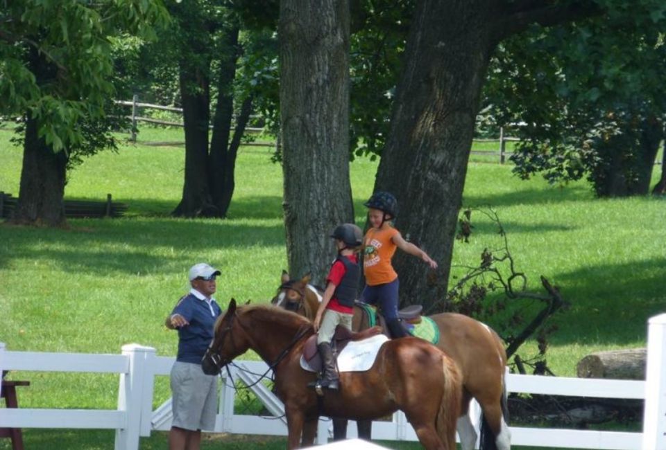Radnor Hunt Races