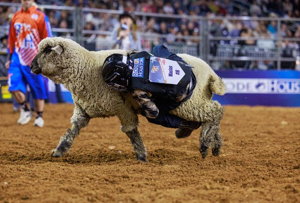 Houston Livestock Show and Rodeo