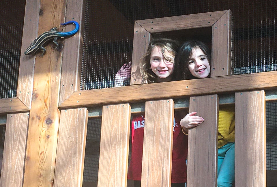 The Houston Family Play Tree House at Lincoln Park Zoo. Photo by Lauren LaRoche