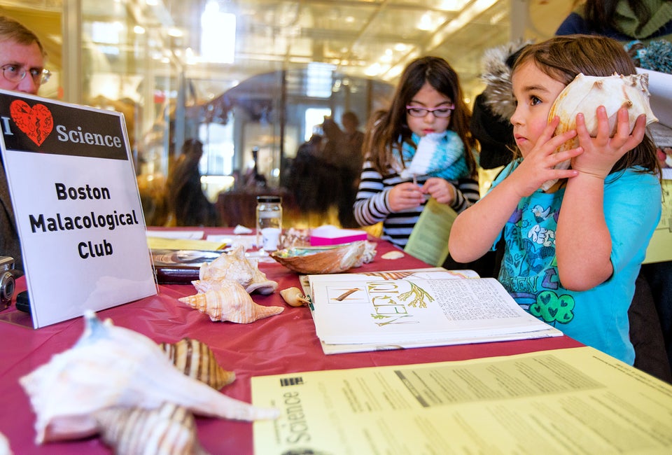 The I Love Science festival encourages hands-on learning. Harvard Museum of Natural History. Photo by Patrick Rogers
