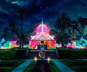 This Golden Gate Park installation is purely San Francisco. Photo courtesy of Illuminate SF