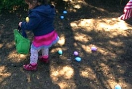 20 Things to do with Kids in Roslindale