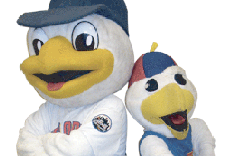 Minor League Baseball in the New York Metro: Brooklyn Cyclones and 5 Other Teams
