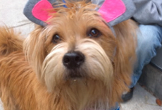 Halloween Round Up: What to do with Leftover Halloween Candy, Our Halloween Slideshow and the Rally for Sanity