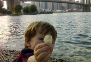 Memorial Day Weekend Activites and Events for Kids