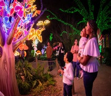 It's the opening weekend of Zoo Lights! Photo courtesy of Houston Zoo