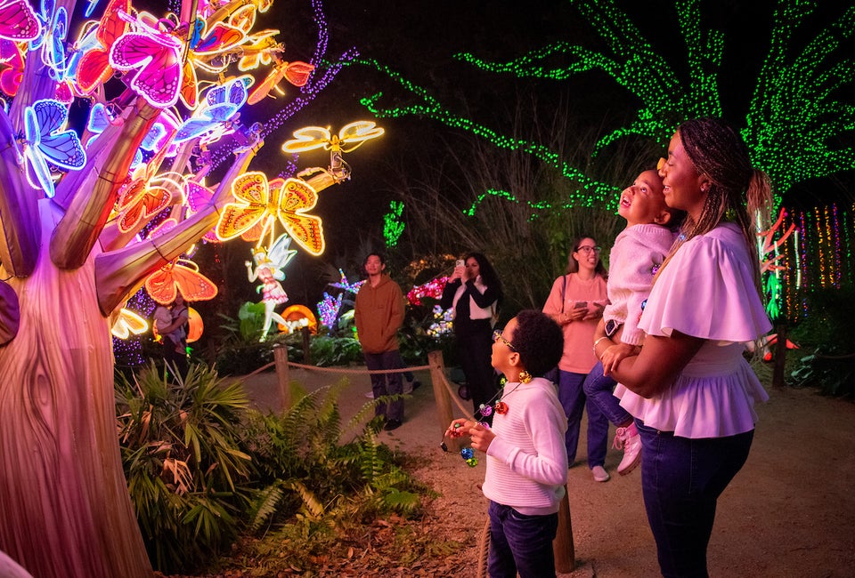It's the opening weekend of Zoo Lights! Photo courtesy of Houston Zoo