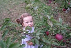 Apple Picking Near NYC Especially for Families with Toddlers