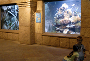 Sleepover at the Long Island Aquarium and Others