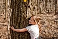 One Great Day in NJ: Campgaw Mountain Reservation