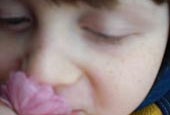 Check out the Beautiful First Entries from The Kids of Hanami Photo Contest