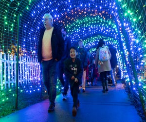 Take your pick of holiday light shows this Thanksgiving weekend, like Garden of Lights at Brookside Gardens. Photo by Tony Ventouris via Montgomery Parks