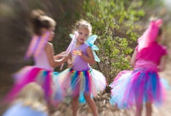 Fun & Free Activities with LA Kids this Weekend: Camellias, Fresh Beat, and Boat Show Feb 8 - 9